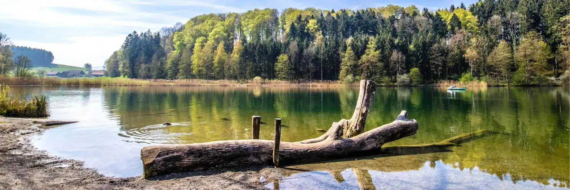 View of the Strandbad Türlersee at the lake